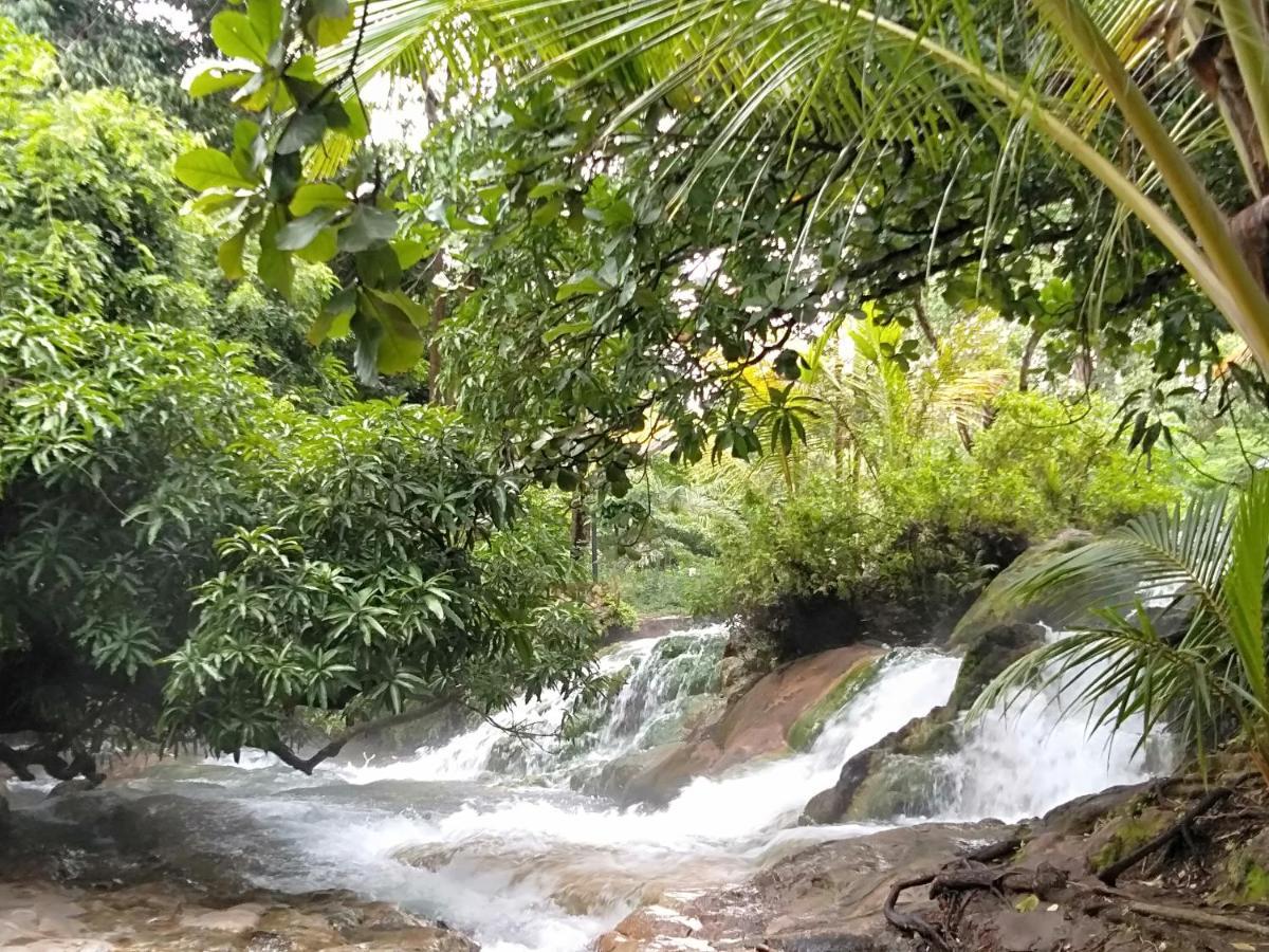 Arnolds Familly Homestay Bajawa Exteriör bild